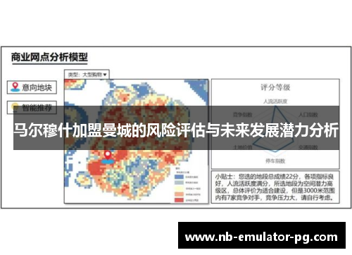 马尔穆什加盟曼城的风险评估与未来发展潜力分析