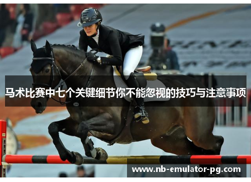 马术比赛中七个关键细节你不能忽视的技巧与注意事项 马术比赛中七个关键细节你不能忽视的技巧与注意事项