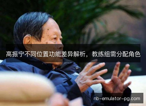 高振宁不同位置功能差异解析，教练组需分配角色